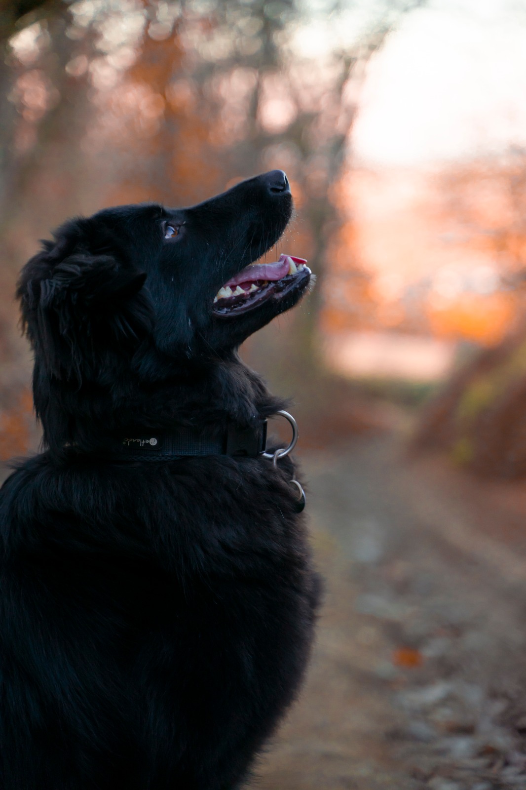 Foto 09.06.25, 11 06 22